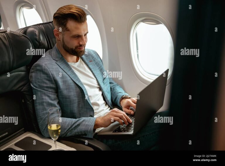 personne travaillant avec ordinateur dans avion