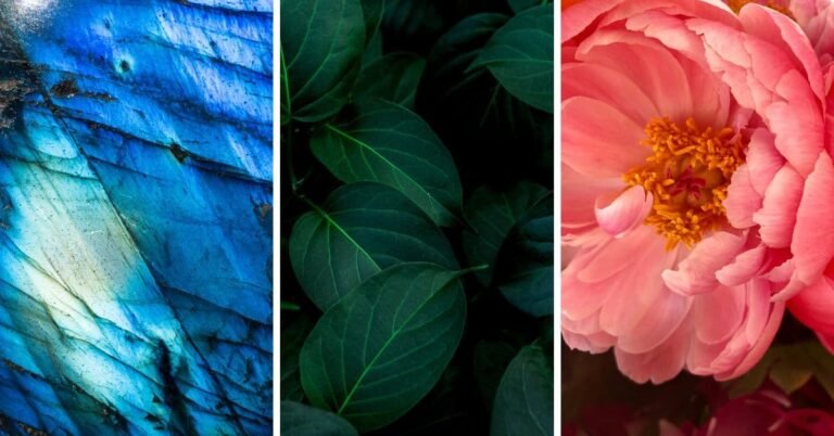 Comment Obtenir la Certification Officielle Myers Briggs Type Indicator